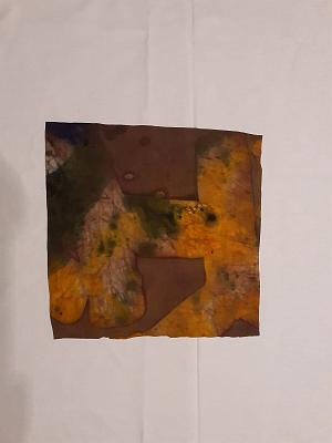 batik bau (174)